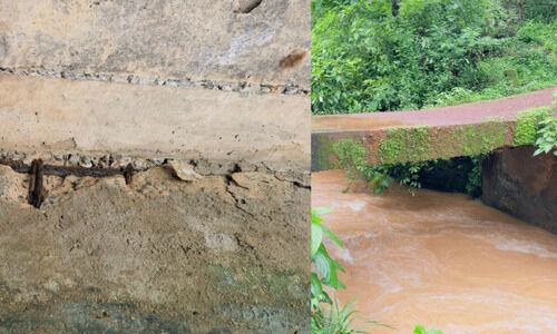 ചെ​ണ്ട​ത്തോ​ടി പാ​ലം അ​പ​ക​ട​ത്തി​ൽ; ഭീ​തി​യോ​ടെ നാ​ട്ടു​കാ​ർ