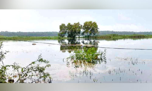 കോൾപ്പാടങ്ങളിൽ ഒളിച്ചിരിക്കുന്ന മരണക്കയങ്ങൾ; ഉല്ലസിക്കാനെത്തുന്നവർ ജാഗ്രത പാലിച്ചില്ലെങ്കിൽ കാത്തിരിക്കുന്നത് മരണം കോൾപ്പാടങ്ങളിൽ ഒളിച്ചിരിക്കുന്ന മരണക്കയങ്ങൾ; ഉല്ലസിക്കാനെത്തുന്നവർ ജാഗ്രത പാലിച്ചില്ലെങ്കിൽ കാത്തിരിക്കുന്നത് മരണം