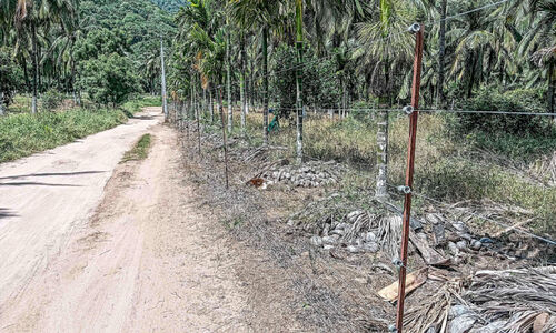 വേലികളിൽ ഉയർന്ന വോൾട്ടേജിൽ വൈദ്യുതി കടത്തിവിടുന്നത് വ്യാപകം വേലികളിൽ ഉയർന്ന വോൾട്ടേജിൽ വൈദ്യുതി കടത്തിവിടുന്നത് വ്യാപകം