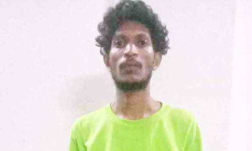 ടെറസിൽ കഞ്ചാവ് വളർത്തിയ യുവാവ് അറസ്റ്റിൽ