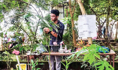 അദ്നാന് കൃഷി കുട്ടിക്കളിയല്ല അദ്നാന് കൃഷി കുട്ടിക്കളിയല്ല