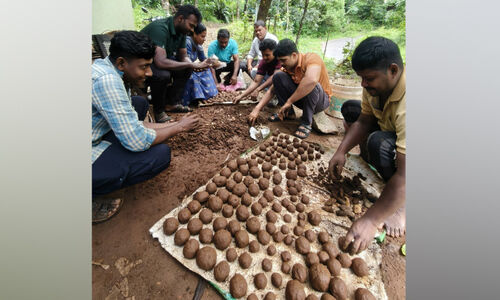 നാ​ളെ പ​രി​സ്ഥി​തി ദി​നം; ചക്കയും മാങ്ങയും ചാമ്പക്കയുമായി അന്നശാല ഒരുങ്ങി
