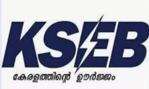വൈദ്യുതിബന്ധം പുനഃസ്ഥാപിച്ചില്ല; കെ.എസ്.ഇ.ബി ഓഫിസിൽ യുവതിയുടെ ആത്മഹത്യഭീഷണി വൈദ്യുതിബന്ധം പുനഃസ്ഥാപിച്ചില്ല; കെ.എസ്.ഇ.ബി ഓഫിസിൽ യുവതിയുടെ ആത്മഹത്യഭീഷണി
