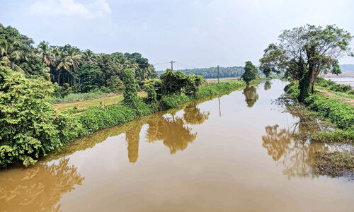 നൂറടി തോടിലെ ജലനിരപ്പ് താഴ്ന്നു; കോൾ മേഖലയിൽ ജലക്ഷാമ ഭീഷണി നൂറടി തോടിലെ ജലനിരപ്പ് താഴ്ന്നു; കോൾ മേഖലയിൽ ജലക്ഷാമ ഭീഷണി