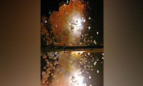 നെന്മാറ-വല്ലങ്ങി വേല; ഗം​ഭീ​ര​മാ​യി പ​ക​ൽ വെ​ടി​ക്കെ​ട്ട്