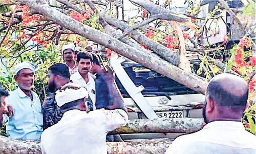 അങ്ങാടിപ്പാലത്തിൽ കാറിന് മുകളിൽ മരം വീണു അങ്ങാടിപ്പാലത്തിൽ കാറിന് മുകളിൽ മരം വീണു