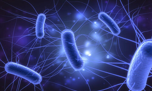 ചെറുപുഴയിൽ കോളി ബാക്ടീരിയ;മാലിന്യം എന്താണെന്നത് കണ്ടെത്തണം- ഇറിഗേഷൻ വകുപ്പ് ചെറുപുഴയിൽ കോളി ബാക്ടീരിയ;മാലിന്യം എന്താണെന്നത് കണ്ടെത്തണം- ഇറിഗേഷൻ വകുപ്പ്