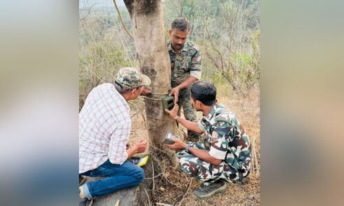 കൊടിയത്തൂർ പഞ്ചായത്തിലും പുലിഭീതി; തോട്ടുമുക്കത്ത് കാമറകൾ സ്ഥാപിച്ചു