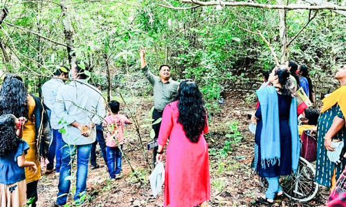 അപൂർവ വനമൊരുക്കി ചെങ്ങന്നൂർ ക്രിസ്ത്യൻ കോളജ്