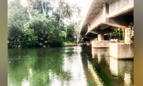 കടത്ത് നിലച്ചതോടെ ദുരിതത്തിലായി തുരുത്തുമ്മ നിവാസികൾ; ഇരുനൂറോളം കുടുംബം യാത്രമാർഗമില്ലാതെ വലയുന്നു കടത്ത് നിലച്ചതോടെ ദുരിതത്തിലായി തുരുത്തുമ്മ നിവാസികൾ; ഇരുനൂറോളം കുടുംബം യാത്രമാർഗമില്ലാതെ വലയുന്നു