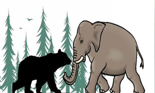 വന്യമൃഗശല്യം വ്യാപകം; മലയോരജനത മരണഭയത്തിൽ