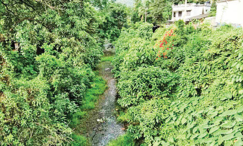 കാ​ട് നി​റ​ഞ്ഞ് കാ​ഞ്ഞി​ര​പ്പു​ഴ ക​നാ​ൽ​ ന​വീ​ക​ര​ണം നീ​ളു​ന്നു