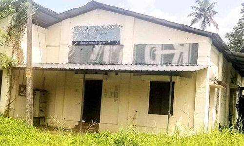 അ​ന്ന​മ​ന​ട ക​ലൂ​ർ ച​കി​രി​നാ​ര് ഫാ​ക്ട​റി​ക്ക് ന​ല്ല​കാ​ലം വ​രു​മോ?; കാടു പിടിച്ച് ഫാക്ടറി പരിസരം