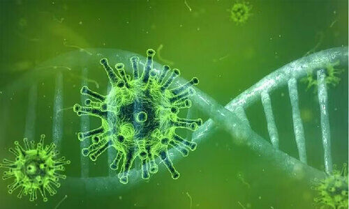 നിപ വീ​ണ്ടും ഭ​യ​പ്പെ​ടു​ത്തു​മ്പോ​ൾ