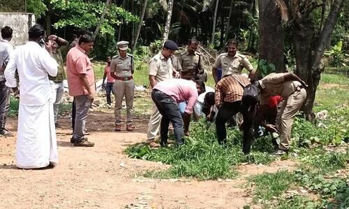 രാമനാട്ടുകരയിൽ ആളൊഴിഞ്ഞ പറമ്പിൽ കഞ്ചാവ് കൃഷി