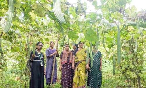 കൃ​ഷി​യി​ൽ പു​തു​ച​രി​ത്ര​മെ​ഴു​താ​ൻ ക​ട​ന്ന​പ്പ​ള്ളി