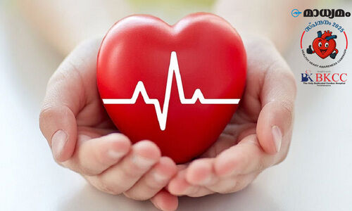 ഹൃ​ദ​യ​ത്തി​​െൻറ ആ​രോ​ഗ്യം; അ​പ​ക​ട​ങ്ങ​ളും മു​ൻ​ക​രു​ത​ലു​ക​ളും