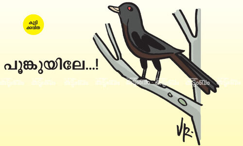 കുട്ടിക്കവിത: പൂങ്കുയിലേ...!