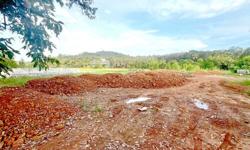 ഇടമൺനില ഏലായിൽ വ്യാപക വയൽനികത്തൽ പരാതിയിലും നടപടിയില്ല ഇടമൺനില ഏലായിൽ വ്യാപക വയൽനികത്തൽ പരാതിയിലും നടപടിയില്ല