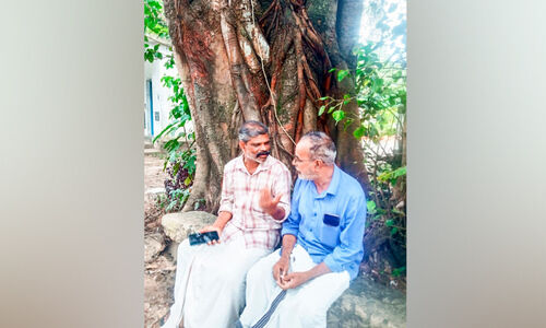 തല ഉയർത്തി നിൽക്കട്ടെ തണലും സൗഹൃദവും തല ഉയർത്തി നിൽക്കട്ടെ തണലും സൗഹൃദവും