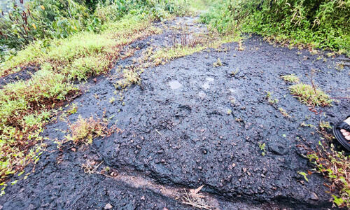 രണ്ടത്താണി വലിയകുന്നിൽ ഇരുമ്പ് യുഗ കാലത്തെ അടയാളങ്ങൾ രണ്ടത്താണി വലിയകുന്നിൽ ഇരുമ്പ് യുഗ കാലത്തെ അടയാളങ്ങൾ