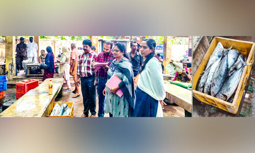 വർക്കലയിൽ പിടിച്ചെടുത്തത് 79 കിലോ മത്സ്യം; പിടിച്ചെടുത്തത് ചീഞ്ഞളിഞ്ഞതും മായം കലർത്തിയതും