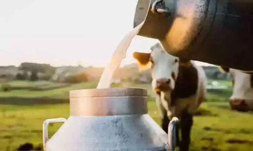 സഹകരണ സംഘങ്ങളിൽ പാല്‍ വിലയിൽ കൊള്ള