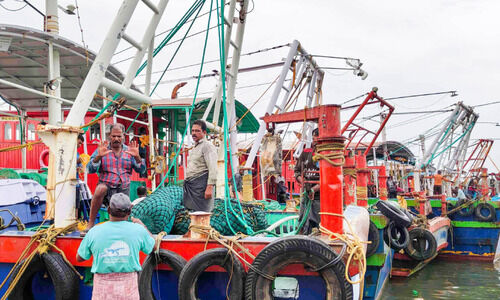 ട്രോളിങ്​ നിരോധനം കഴിഞ്ഞു, വല നിറ​​​െ​യ പ്രതീക്ഷ; ബോട്ടുകൾ കടലിലേക്ക്