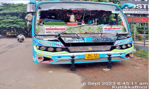 ഓടുന്ന ബസിന് മുകളിലേക്ക് മരച്ചില്ല വീണ് യാത്രക്കാരിക്ക് പരിക്ക്