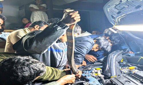 കാറിന്‍റെ ബോണറ്റിനുള്ളിൽ രാജവെമ്പാല !