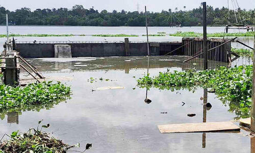 കുമ്പളങ്ങി പഞ്ചായത്തിന്‍റെ അനാസ്ഥ; അരൂർ-കുമ്പളങ്ങി പാലംപണി വൈകുന്നു
