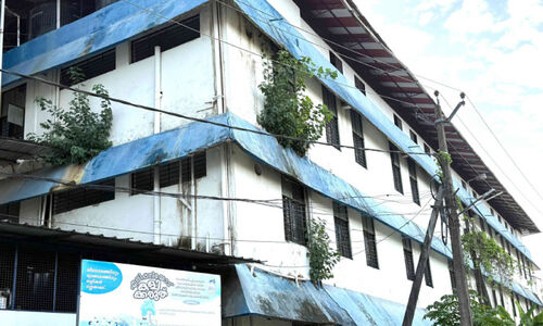 മരങ്ങൾ കിളിർത്ത്​ ​താലൂക്ക് ആശുപത്രി കെട്ടിടം