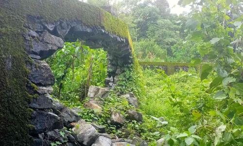 പ്ര​ള​യ​ത്തി​ൽ ത​ക​ർ​ന്ന ആ​ന​മ​തി​ൽ പു​ന​ർ​നി​ർ​മി​ക്കാ​തെ വ​നം​വ​കു​പ്പ്