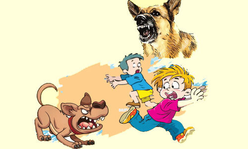 തെ​രു​വു​നാ​യ് ആ​ക്ര​മ​ണം; നാ​ലുപേ​ര്‍ക്ക് പ​രി​ക്ക്