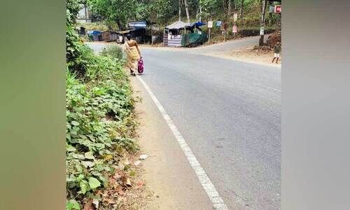 നടപ്പാതയിൽ കാടുകയറി; കാൽനടക്കാർ ബുദ്ധിമുട്ടിൽ
