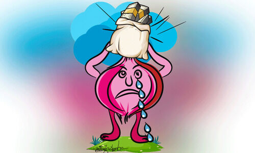 നെഞ്ചുലച്ച് ഇഞ്ചി, പൊള്ളിച്ച് ഉള്ളി... നെഞ്ചുലച്ച് ഇഞ്ചി, പൊള്ളിച്ച് ഉള്ളി...