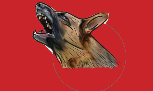 ഒടമലയിൽ ആളുകളെ കടിച്ച തെരുവുനായ്ക്ക് പേവിഷബാധ സ്ഥിരീകരിച്ചു ഒടമലയിൽ ആളുകളെ കടിച്ച തെരുവുനായ്ക്ക് പേവിഷബാധ സ്ഥിരീകരിച്ചു