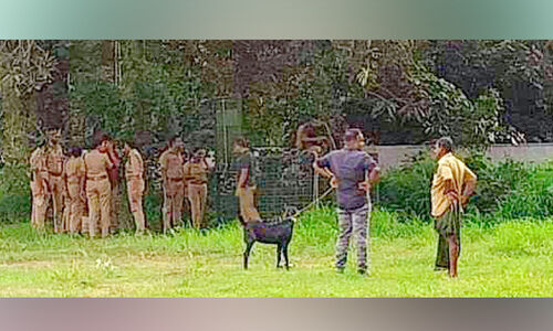 ചാലക്കുടിയിൽ കെ​ണി​യൊ​രു​ക്കി, പു​ലി​ക്കാ​യി കാ​ത്തി​രി​പ്പ്