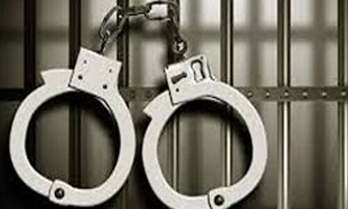 താ​ലി​മാ​ല ത​ട്ടി​പ്പ​റി​ച്ച ത​മി​ഴ്നാ​ട് സ്വ​ദേ​ശി​ക​ളാ​യ ദ​മ്പ​തി​മാ​ർ​ക്ക്   ത​ട​വും പി​ഴ​യും