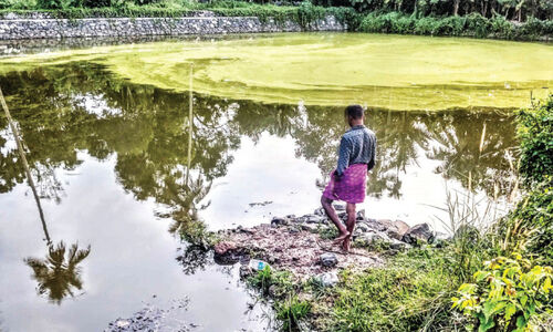 മാ​ള വ​ലി​യ​പ​റ​മ്പ് പു​തു​കു​ളം ന​വീ​ക​ര​ണം പാ​തി​വ​ഴി​യി​ൽ