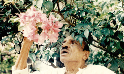 വൈക്കം മുഹമ്മദ് ബഷീറും എൻഗൂഗിയും ഇഗ്നോസിയാബുത്തീത്തയും