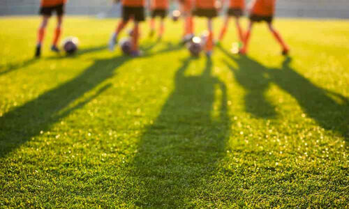 സ്പോർട്സ് അക്കാദമിക്ക് തുടക്കമിട്ട് ചെങ്ങളായി പഞ്ചായത്ത്