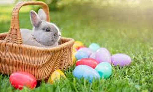 ഈ​സ്റ്റ​ർ: ​ജീ​വ​ന്‍റെ ദ​ർ​ശ​നം