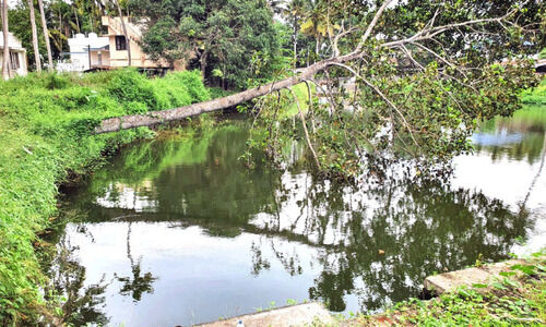 അശാസ്​ത്രീയ നിർമാണം; പുല്ലൈകോണം കുളം നശിക്കുന്നു