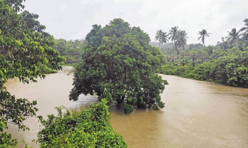 ക​ര​ക​വി​ഞ്ഞ് രാ​മ​ൻ​പു​ഴ; വീ​ടു​ക​ൾ വെ​ള്ള​പ്പൊ​ക്ക ഭീ​ഷ​ണി​യി​ൽ