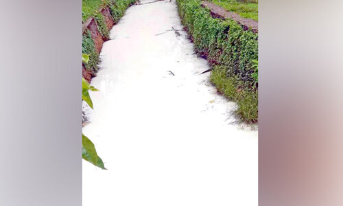 അ​പ​ക​ട​ങ്ങ​ൾ പതിവായി വ​ട്ട​ക്കു​ണ്ട് പാ​ലം; പെ​യി​ന്‍റ് ക​യ​റ്റി​യ ലോ​റി താ​ഴ്ച​യി​ലേ​ക്ക് പ​തി​ച്ചു