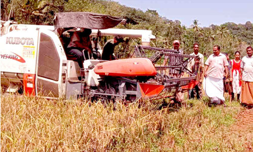 കൊയ്യാൻ ആളില്ല; പുല്ലമ്പാറ ഏലായില് ഇത്തവണ കൊയ്ത്തിനും മെതിക്കും യന്ത്രമിറക്കി കൊയ്യാൻ ആളില്ല; പുല്ലമ്പാറ ഏലായില് ഇത്തവണ കൊയ്ത്തിനും മെതിക്കും യന്ത്രമിറക്കി