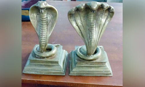 ഉണ്യാലിൽ മത്സ്യബന്ധനത്തിനിടെ നാഗവിഗ്രഹങ്ങൾ വലയിൽ കുടുങ്ങി