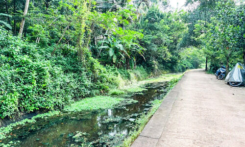 കൈവരിയില്ല; നെയ്യാർ ഇറിഗേഷൻ കനാൽ പരിസരത്ത് അപകട ഭീഷണി