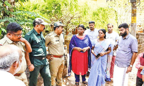 വടക്കൻ പാലൂരിൽ പുലി; കാമറ സ്ഥാപിക്കുമെന്ന് വനം വകുപ്പ് വടക്കൻ പാലൂരിൽ പുലി; കാമറ സ്ഥാപിക്കുമെന്ന് വനം വകുപ്പ്